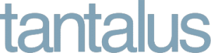 The image shows the word "tantalus" in all lowercase letters with a light blue, sans-serif font on a light gray background, evoking a clean and modern feel ideal for Commercial Cleaning or Property Maintenance branding.